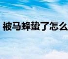 被马蜂蛰了怎么办消肿（被马蜂蛰了怎么办）