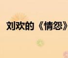 刘欢的《情怨》 歌词（刘欢的 情怨  歌词）