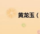 黄龙玉（说一说黄龙玉的简介）