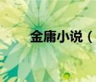 金庸小说（说一说金庸小说的简介）