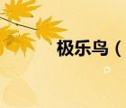 极乐鸟（说一说极乐鸟的简介）