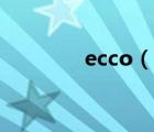 ecco（说一说ecco的简介）