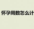 怀孕周数怎么计算准确（怀孕周数怎么计算）