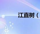 江直树（说一说江直树的简介）