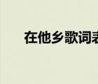 在他乡歌词表达的意义（在他乡歌词）