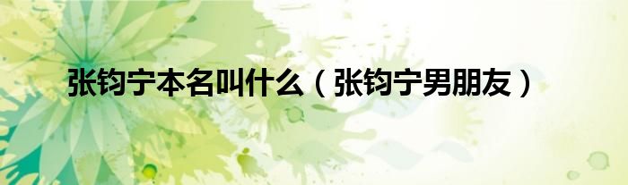 张钧宁本名叫什么（张钧宁男朋友）