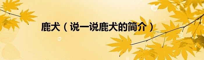 鹿犬（说一说鹿犬的简介）