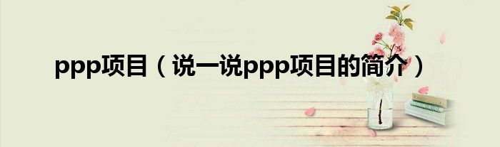 ppp项目（说一说ppp项目的简介）
