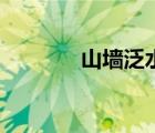 山墙泛水板模具（山墙泛水）