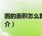 圆的面积怎么算（说一说圆的面积怎么算的简介）