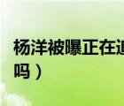 杨洋被曝正在追求郑爽（杨洋的女朋友是郑爽吗）