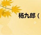 杨九郎（说一说杨九郎的简介）