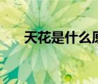 天花是什么原因造成的（天花是什么）