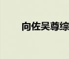 向佐吴尊综艺节目（向佐吴尊综艺）