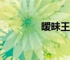 暧昧王菲哪年（暧昧王菲）