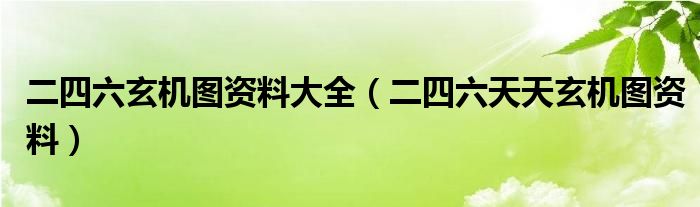 二四六玄机图资料大全（二四六天天玄机图资料）