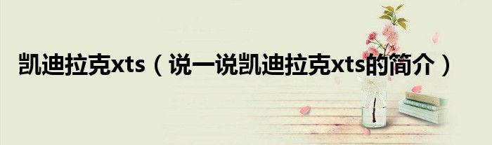 凯迪拉克xts（说一说凯迪拉克xts的简介）
