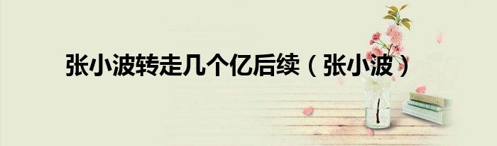 张小波转走几个亿后续（张小波）