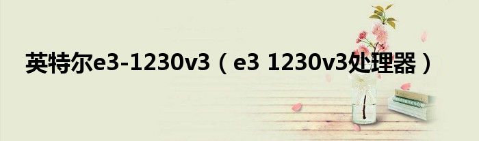 英特尔e3-1230v3（e3 1230v3处理器）