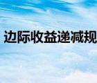 边际收益递减规律视频（边际收益递减规律）