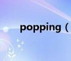 popping（说一说popping的简介）