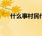 什么事村民代表（怎样产生村民代表）