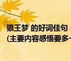 狼王梦 的好词佳句（请求狼王梦的好词好句主要内容和感悟(主要内容感悟要多一些)_360）
