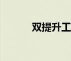 双提升工作汇报材料（双提升）