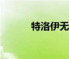 特洛伊无双日版（特洛伊无双）