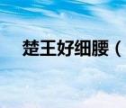 楚王好细腰（说一说楚王好细腰的简介）
