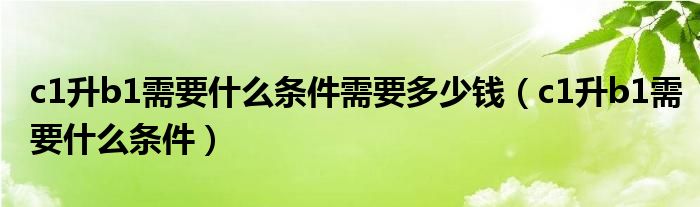 c1升b1需要什么条件需要多少钱（c1升b1需要什么条件）