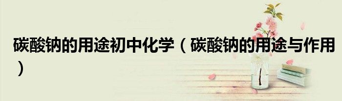碳酸钠的用途初中化学（碳酸钠的用途与作用）