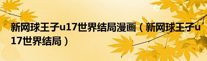 新网球王子u17世界结局漫画（新网球王子u17世界结局）