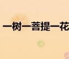 一树一菩提一花一世界的意思（一树一菩提）