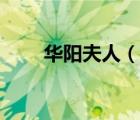 华阳夫人（说一说华阳夫人的简介）