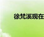 徐梵溪现在的老公（徐梵溪的丈夫）