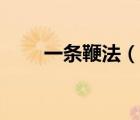一条鞭法（说一说一条鞭法的简介）
