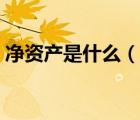 净资产是什么（说一说净资产是什么的简介）