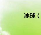 冰球（说一说冰球的简介）