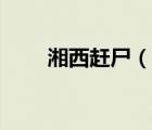 湘西赶尸（说一说湘西赶尸的简介）