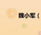 魏小军（说一说魏小军的简介）
