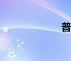 普智和尚（普智）