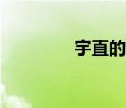 宇直的含义是什么（宇直）