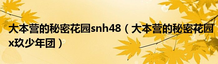 大本营的秘密花园snh48（大本营的秘密花园x玖少年团）