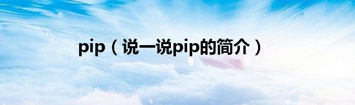 pip（说一说pip的简介）