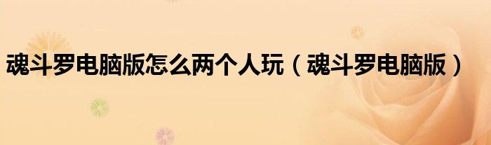 魂斗罗电脑版怎么两个人玩（魂斗罗电脑版）