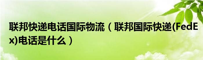 联邦快递电话国际物流（联邦国际快递(FedEx)电话是什么）