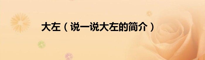 大左（说一说大左的简介）
