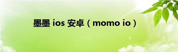 墨墨 ios 安卓（momo io）