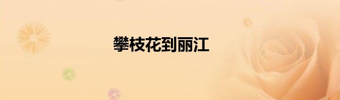 攀枝花到丽江